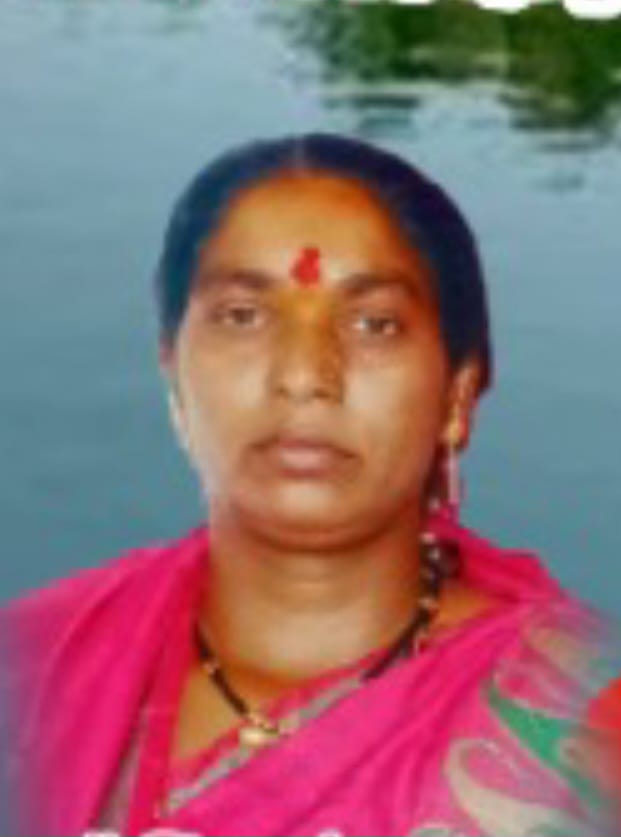 सदस्य